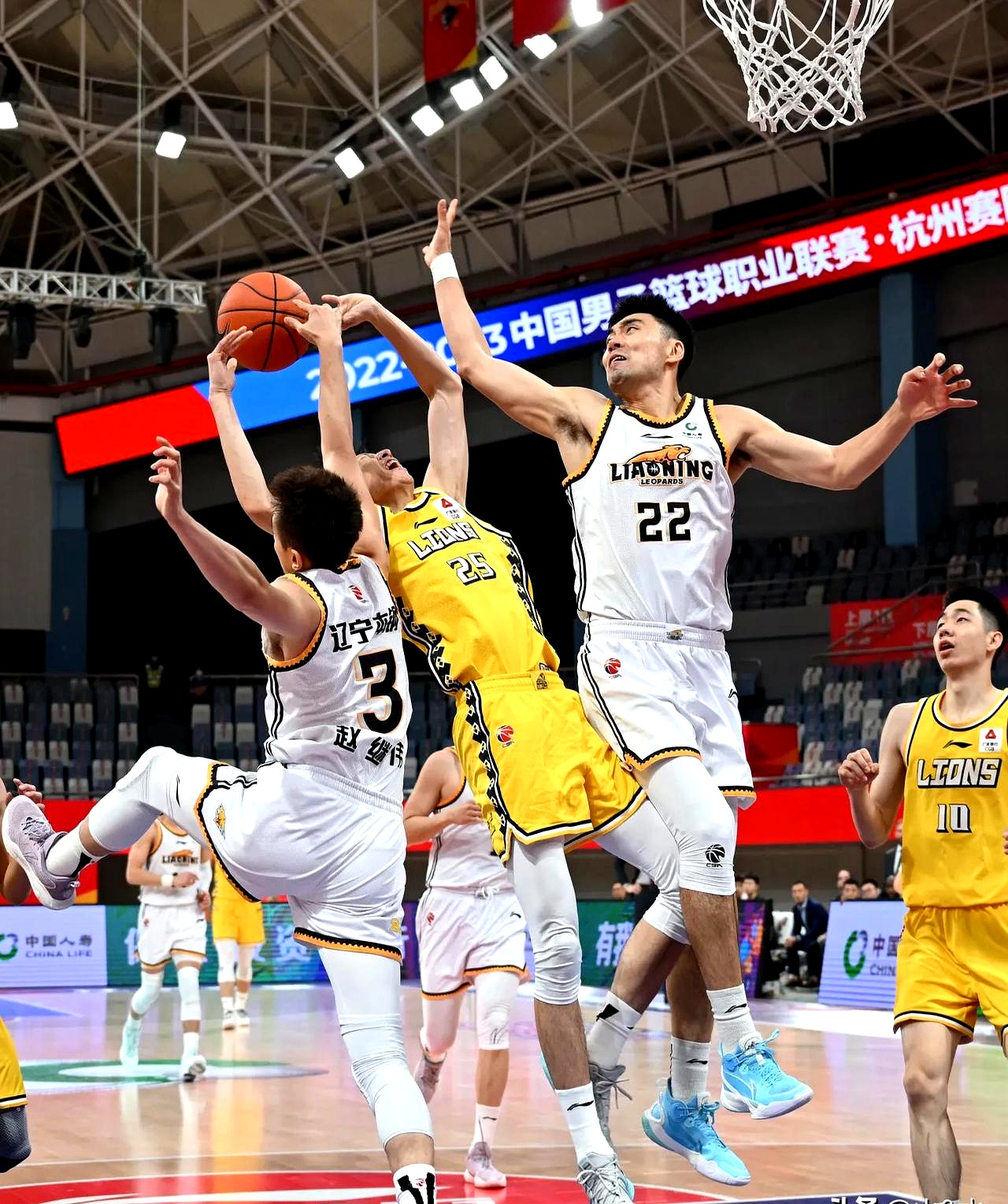 开云中国-浙江队训练开放日；今晚外线爆发引欢呼；欧篮联在即；赛季目标并未改变